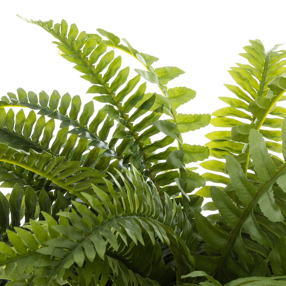 atmosphera-artificial-boston-fern-in-cement-pot-black