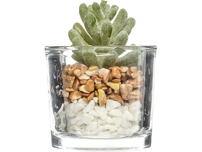 atmosphera-artificial-cactai-plant-in-glass-pot-3-assorted-types-6-5cm-x-10cm