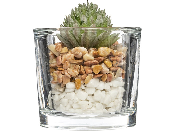 atmosphera-artificial-cactai-plant-in-glass-pot-3-assorted-types-6-5cm-x-10cm