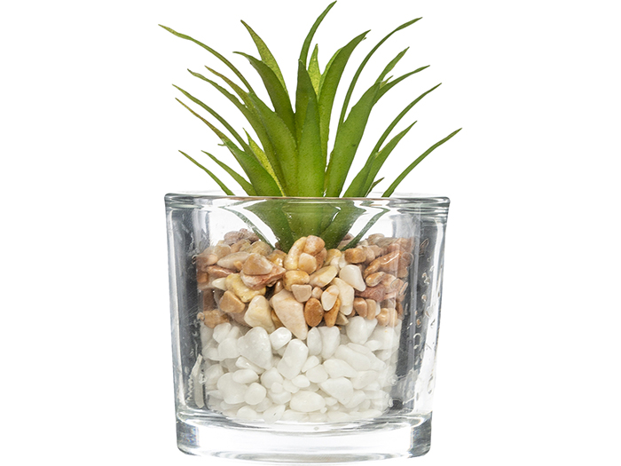 atmosphera-artificial-cactai-plant-in-glass-pot-3-assorted-types-6-5cm-x-10cm