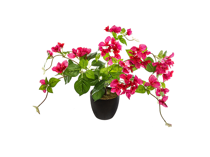 artificial-bougainvillea-flower-plant-76-cm-2-assorted-colours