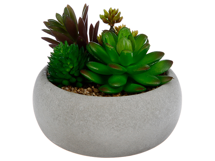 artificial-cactai-assortment-in-grey-concrete-pot-2-assorted-types