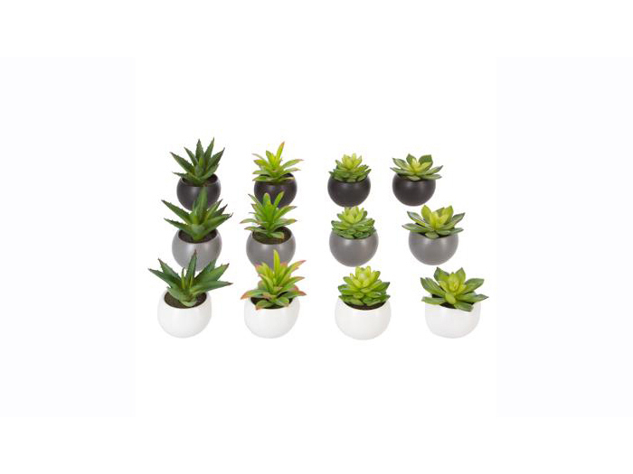 artificial-green-succulent-plant-in-round-pot-13-cm-in-3-assorted-colours