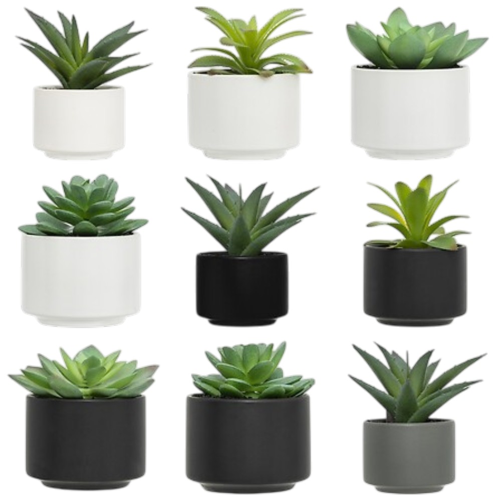 artificial-green-succulent-plant-in-round-pot-13-cm-in-3-assorted-colours