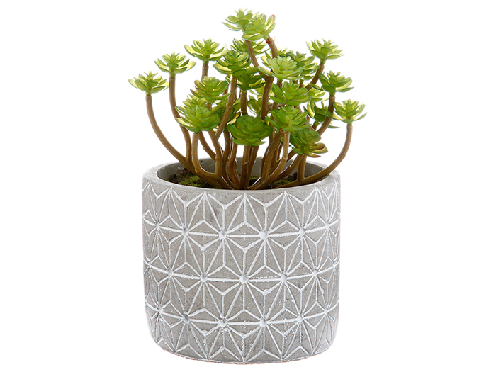 atmosphera-artificial-green-succulent-plant-in-cement-pot-2-assorted-types-17-cm