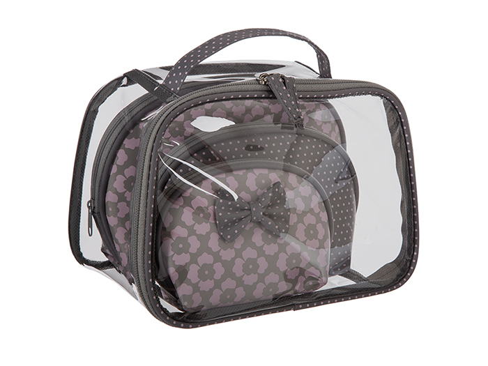 carry-cosmetic-bag-set-of-4-pieces-4-assorted-types