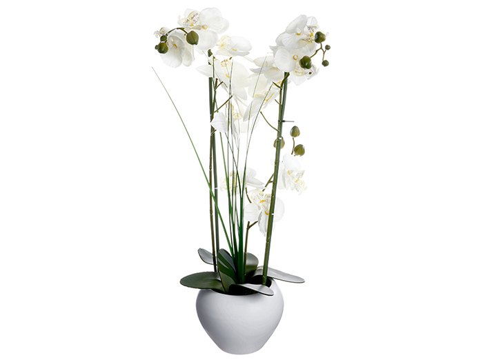 artificial-orchid-plant-in-white-pot-53cm
