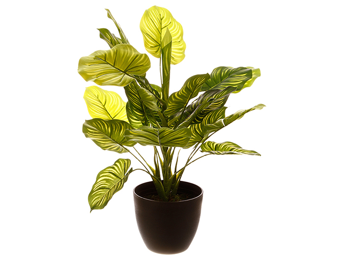 atmosphera-real-touch-artificial-green-plant-in-pot-2-assorted-types-45-cm