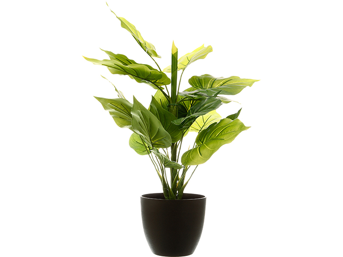 atmosphera-real-touch-artificial-green-plant-in-pot-2-assorted-types-45-cm