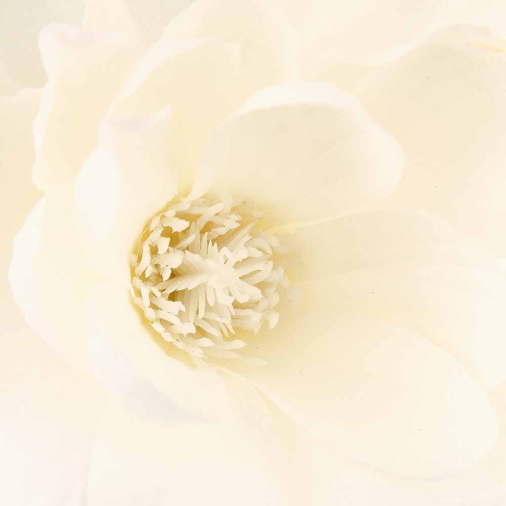 atmosphera-artificial-magnolia-flower-in-ceramic-vase