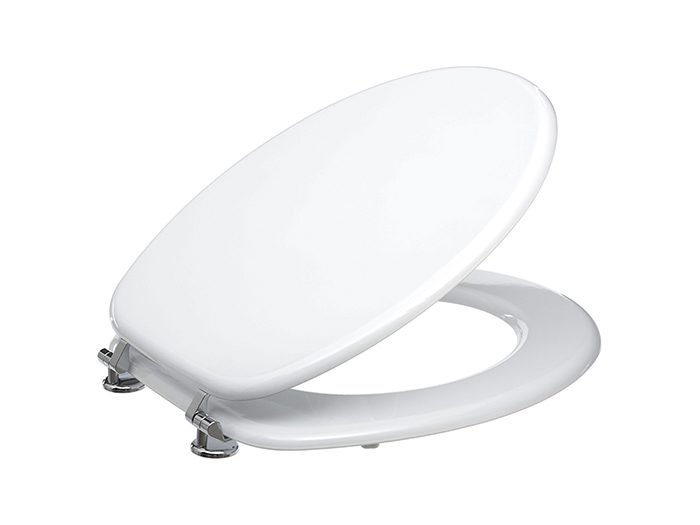 white-toilet-seat-with-metal-hinges