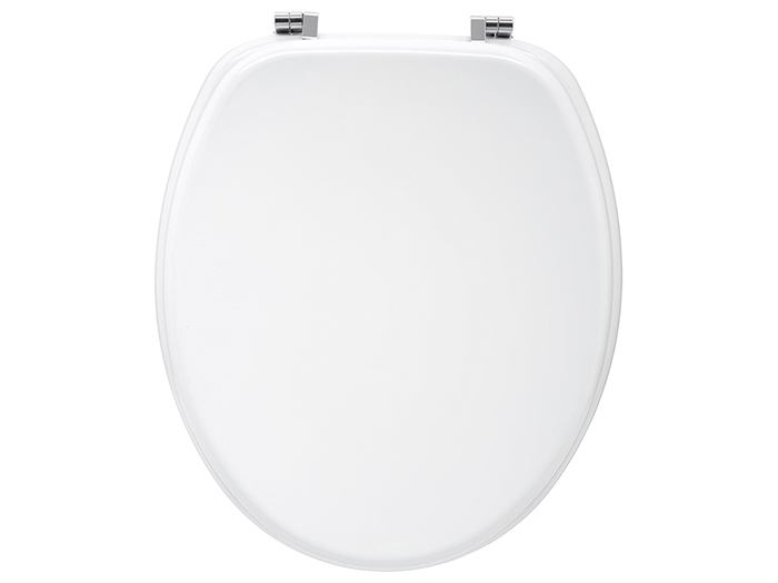 white-toilet-seat-with-metal-hinges