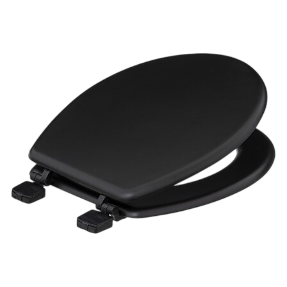 5five-toilet-seat-with-lacquered-wooden-cover