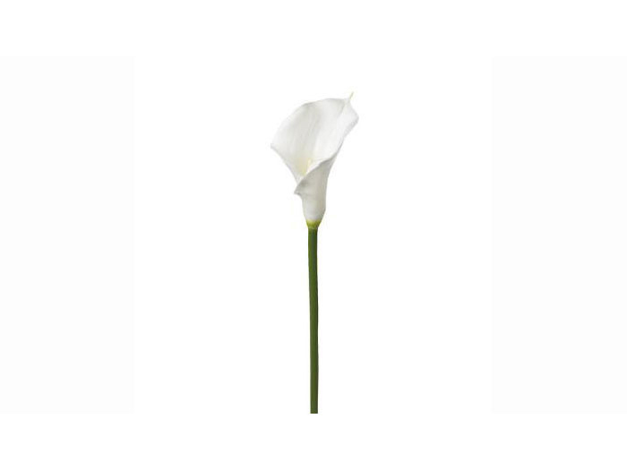 atmosphera-artificial-arum-lily-stem-75-cm