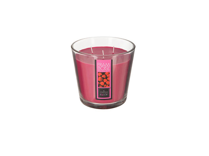 candle-in-glass-jar-in-red-fruits-fragrance-500-grams
