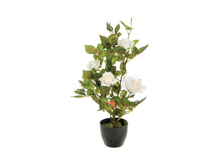 artificial-rose-plant-in-pot-2-assorted-types-50-cm