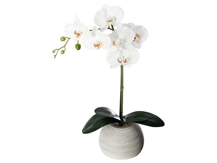 artificial-orchid-plant-in-grey-cement-pot-h-53