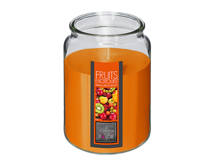 nina-glass-candle-exotic-fruits-fragrance-510g