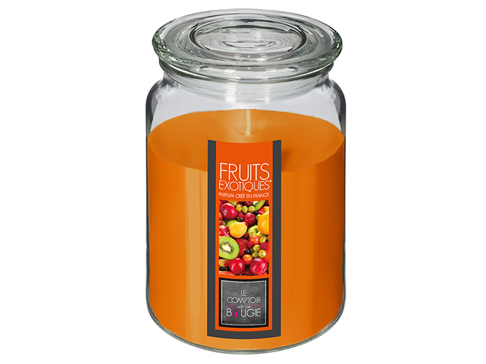 nina-glass-candle-exotic-fruits-fragrance-510g