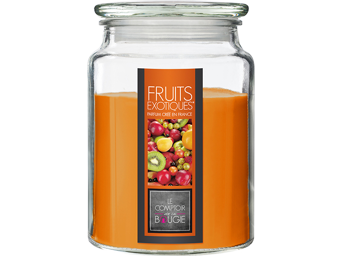 nina-glass-candle-exotic-fruits-fragrance-510g