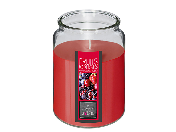 nina-glass-candle-red-fruits-fragrance-510g