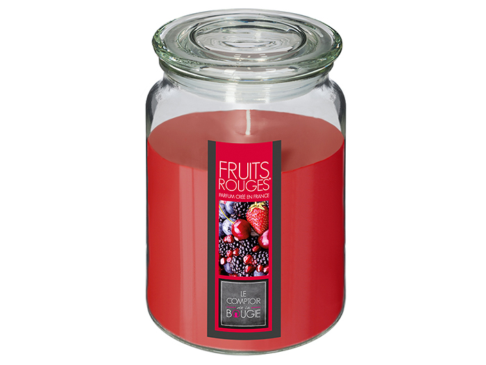 nina-glass-candle-red-fruits-fragrance-510g