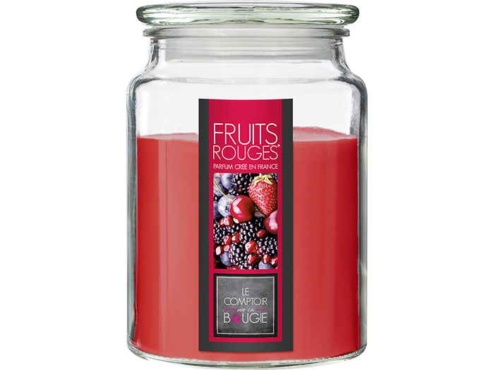 nina-glass-candle-red-fruits-fragrance-510g