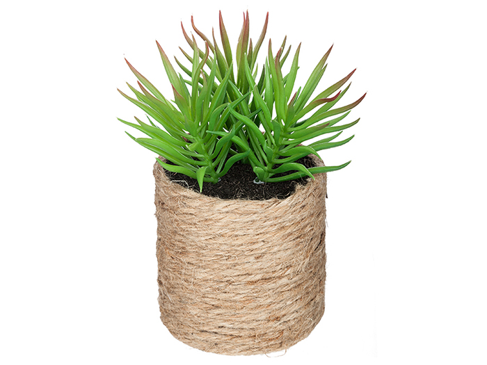 artificial-green-cactus-in-rope-pot-16-cm