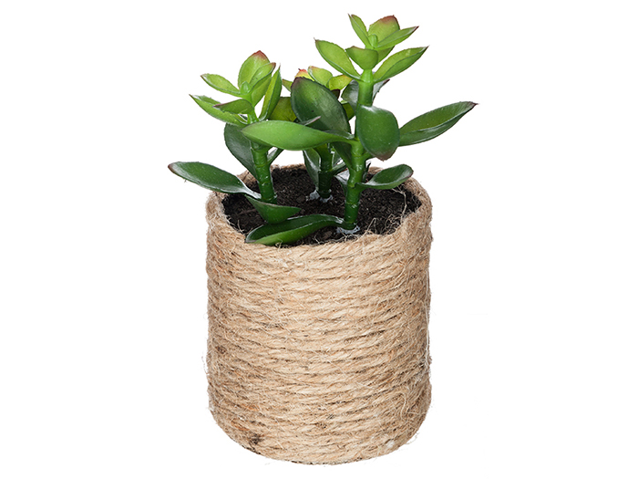 artificial-green-cactus-in-rope-pot-16-cm