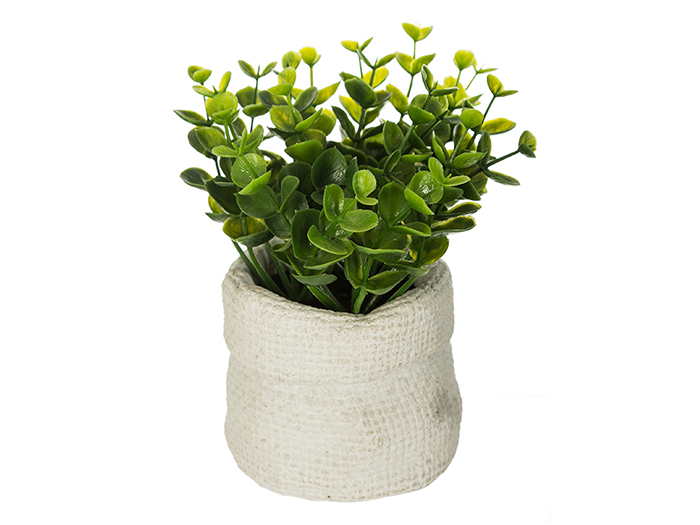 artificial-green-plant-in-cement-pot-14-cm-3-assorted-types