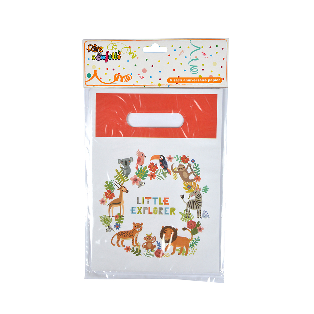 explorer-design-party-gift-bags-pack-of-6-pieces