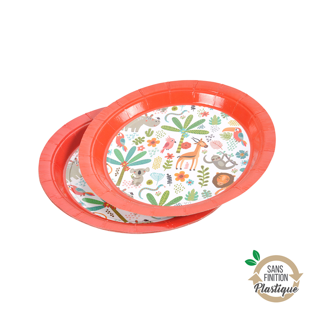 explorer-paper-plates-set-of-6-pieces-18-5cm