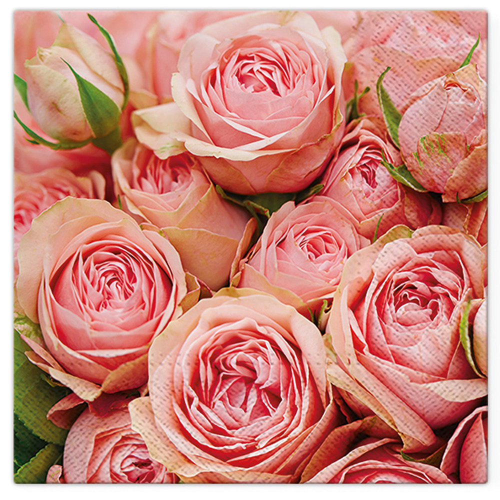 roses-print-napkins-33cm-pack-of-20-pieces