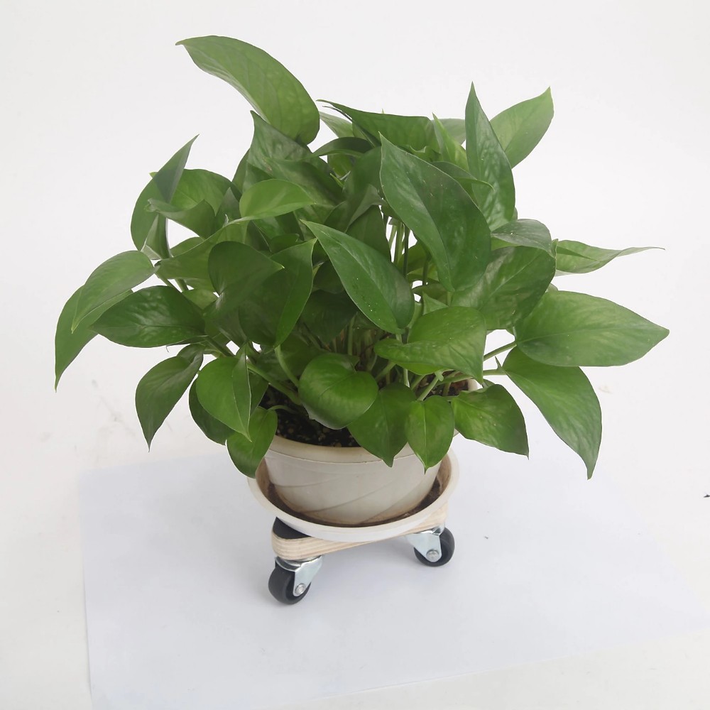 diall-corner-dolly-132mmx132mmx56mm