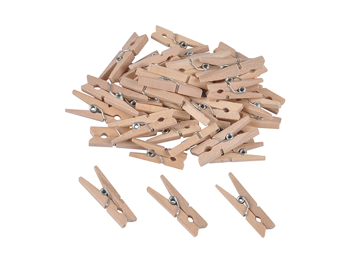 craft-use-mini-wooden-pegs-set-of-50-pieces