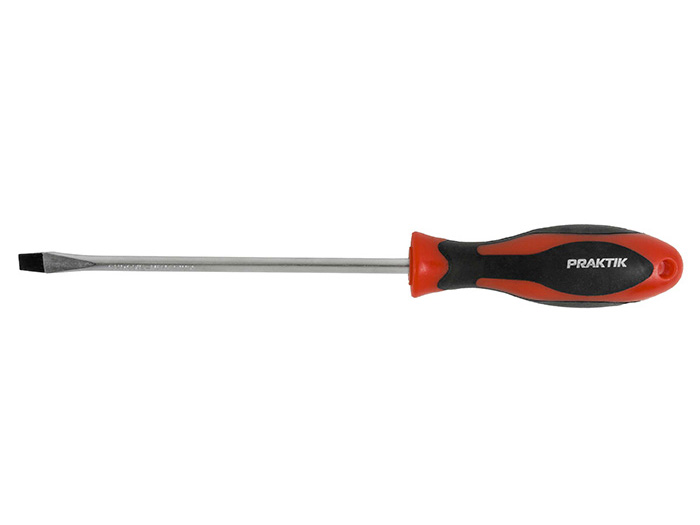 praktik-screwdriver-sl-6x100