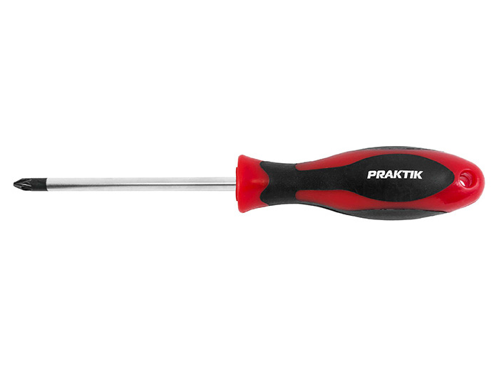 praktik-screwdriver-pz-2x100