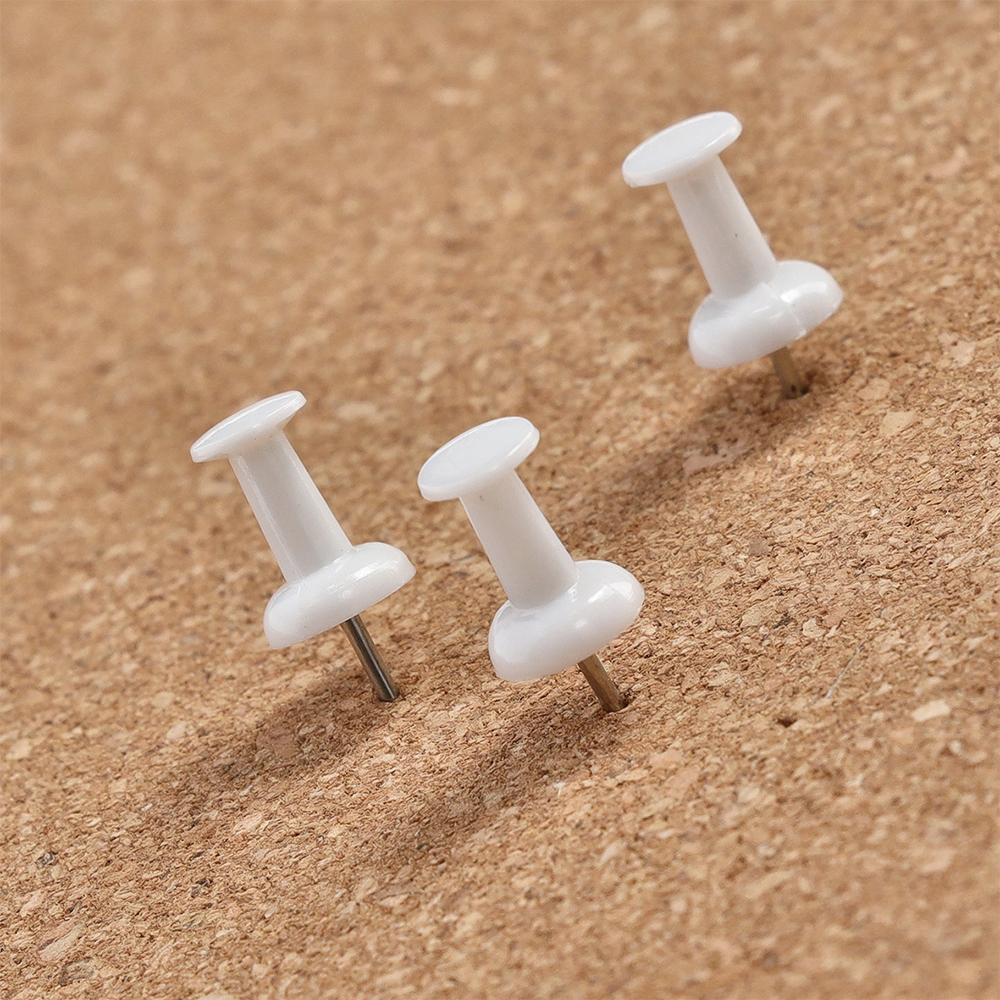 zeller-push-pins-white-set-of-25-pieces