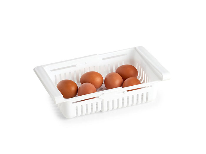 zeller-plastic-extending-fridge-storage-basket-white-20cm-x-7-5cm