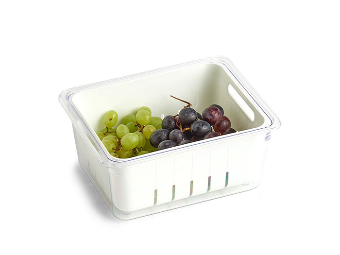 zeller-plastic-food-storage-box-for-fridge-in-white