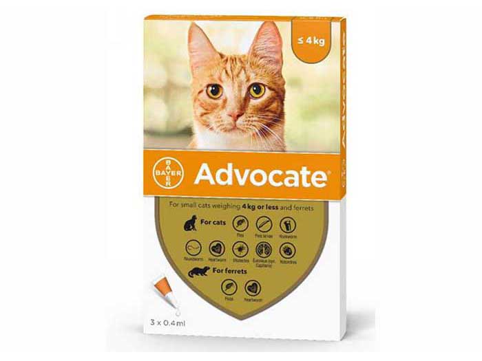 advocate-spot-on-small-cat-0-4kg