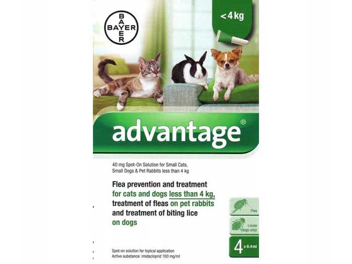 advantage-40-for-small-cats-dogs-and-rabbits-0-4kg