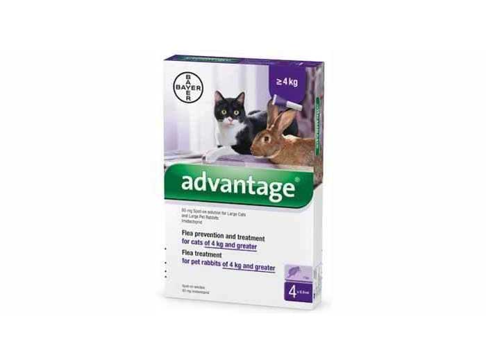 advantage-80-spot-on-for-large-cats-rabbits-over-4kg