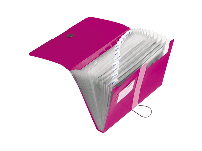 herlitz-expanding-a4-file-pink-12-slots