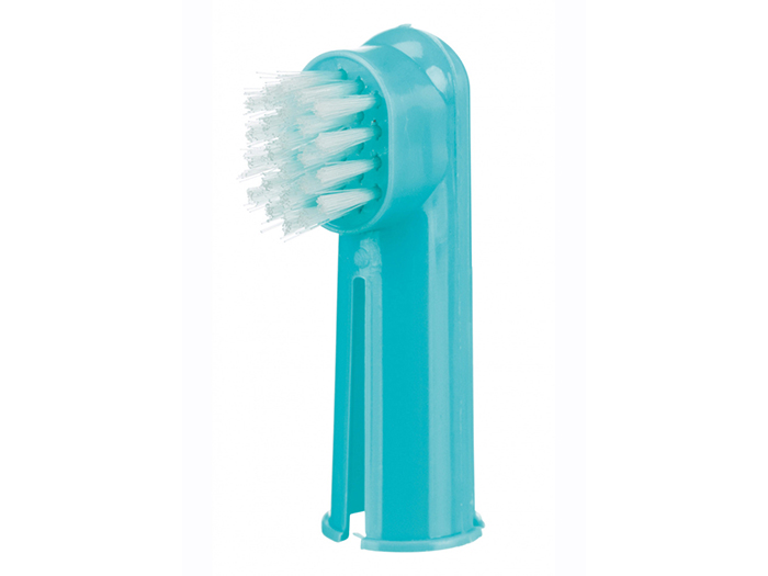 tooth-brush-set-of-2-pieces-6cm