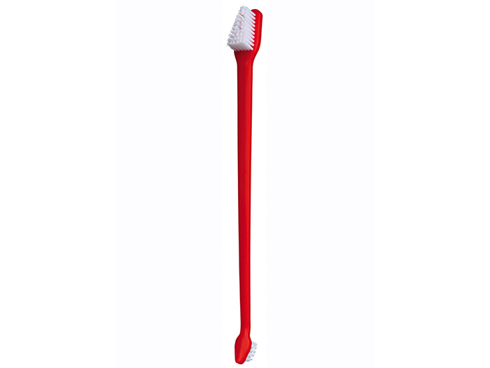pet-toothbrush-set-of-4-pieces-23-cm