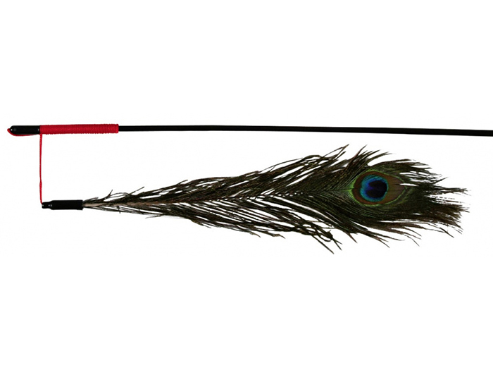 playing-rod-with-peacock-feather-47-cm