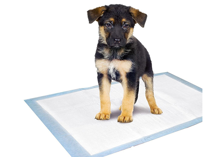 potty-diaper-training-pads-for-puppies-x-20-pieces