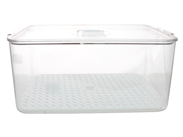 parma-plastic-fridge-food-container-transparent-33cm-x-21-5cm-x-14-5cm