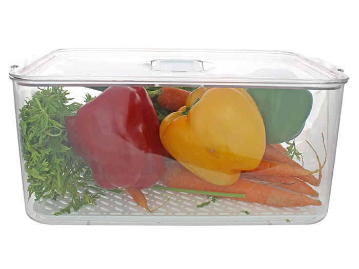 parma-plastic-fridge-food-container-transparent-33cm-x-21-5cm-x-14-5cm